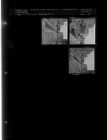 Construction (3 Negatives) (April 14, 1961) [Sleeve 38, Folder d, Box 26]